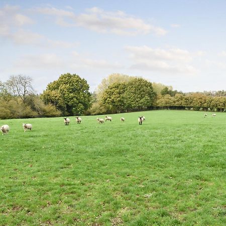 Farmhouse Garden Shepherds Hut Thursley Экстерьер фото