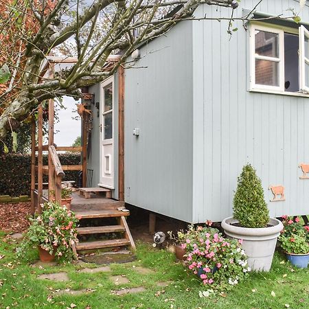 Farmhouse Garden Shepherds Hut Thursley Экстерьер фото